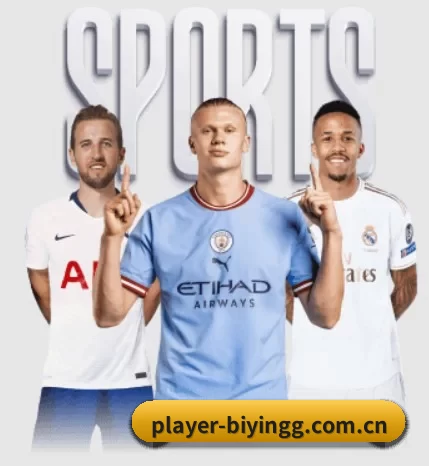 五大体育板块覆盖,从比分到直播全覆盖（BWIN）